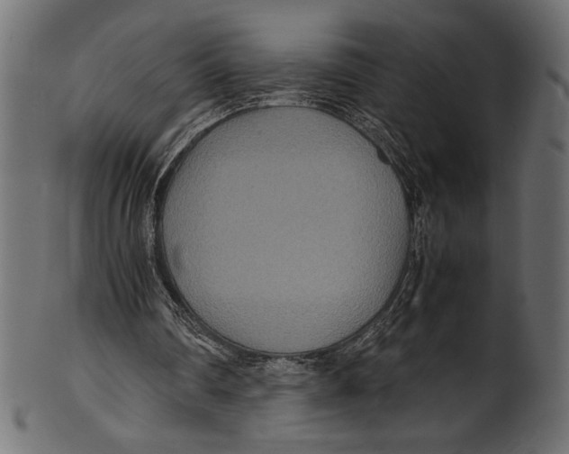 X0000100850290200807181102