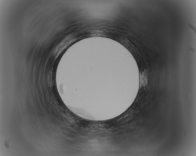 X0000100850291200807181102