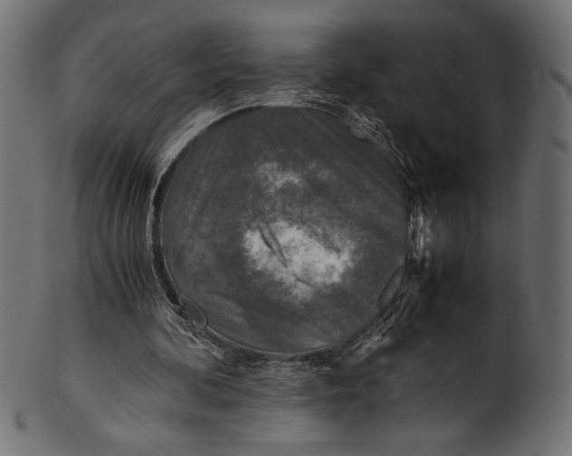 X0000100850292200807181102