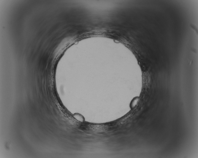 X0000100850293200807181102