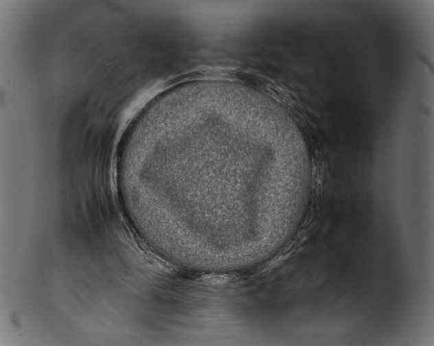 X0000100850294200807181102