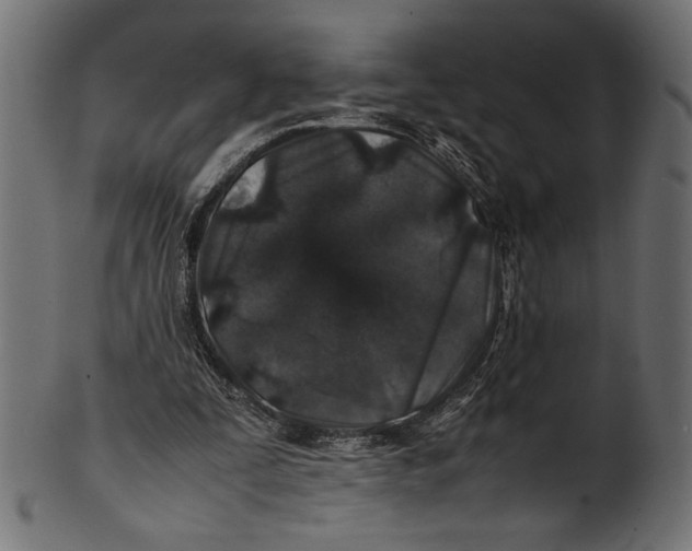 X0000100850295200807181102