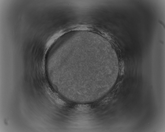 X0000100850296200807181102