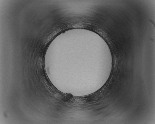 X0000100850297200807181102