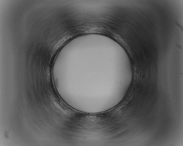 X0000100850298200807181102