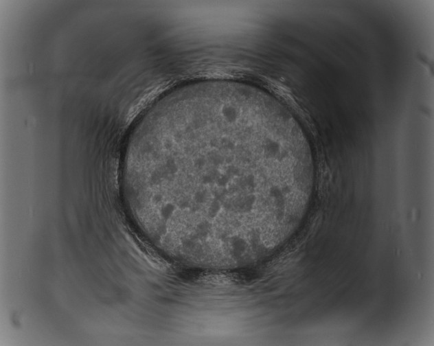 X0000100850299200807181102