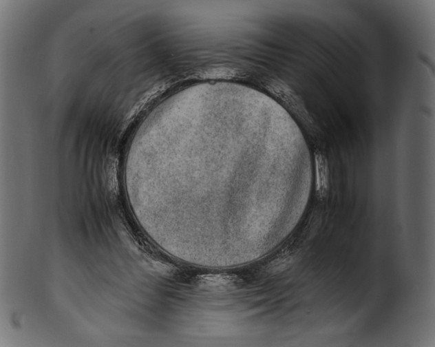 X0000100850300200807181102