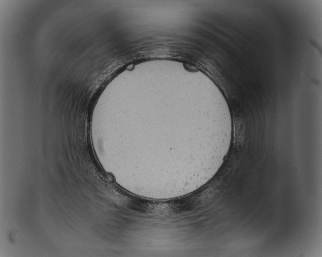 X0000100850301200807181102
