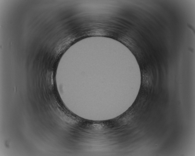 X0000100850302200807181102