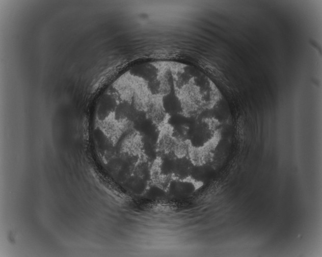 X0000100850303200807181102