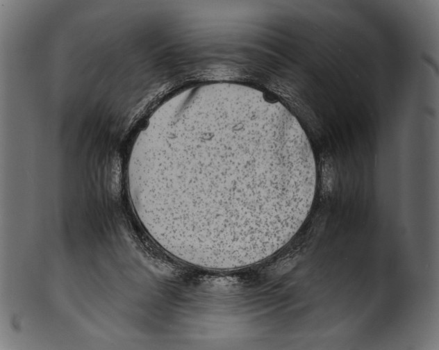 X0000100850304200807181102