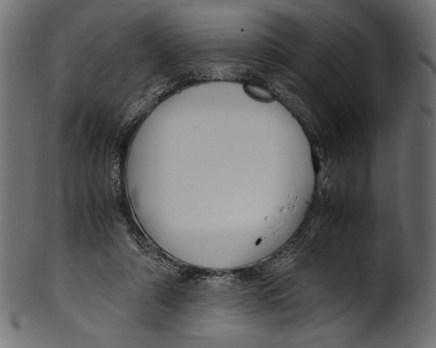 X0000100850306200807181102