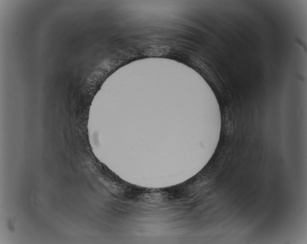 X0000100850307200807181102