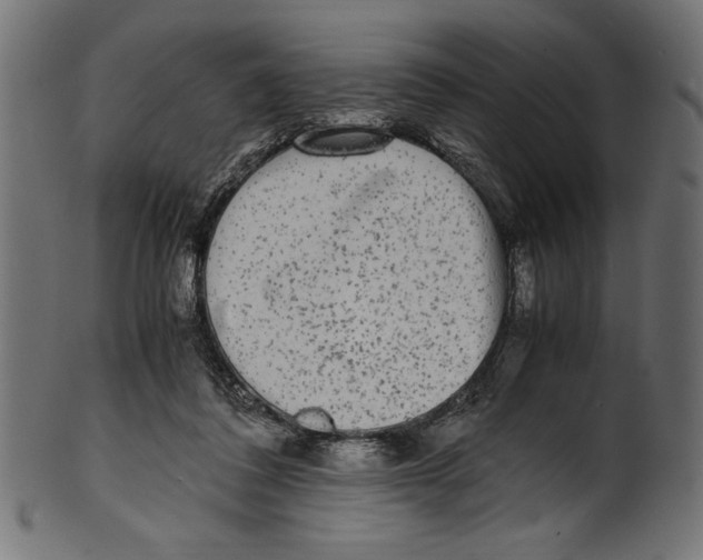 X0000100850308200807181102