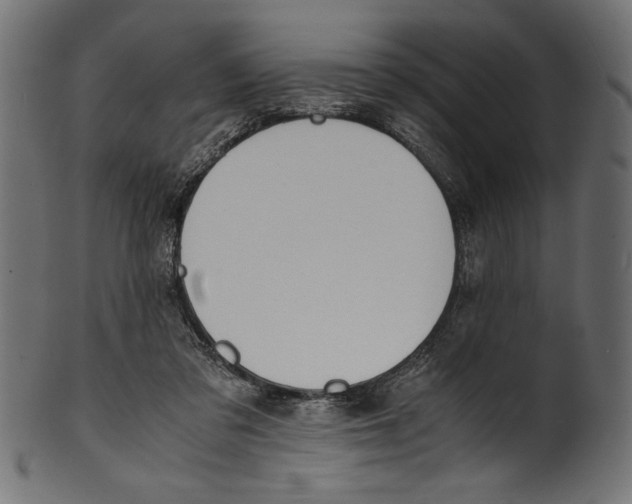 X0000100850309200807181102