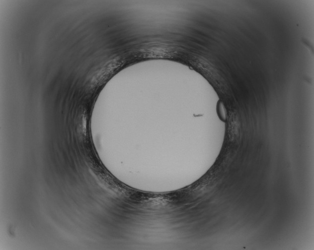 X0000100850310200807181102