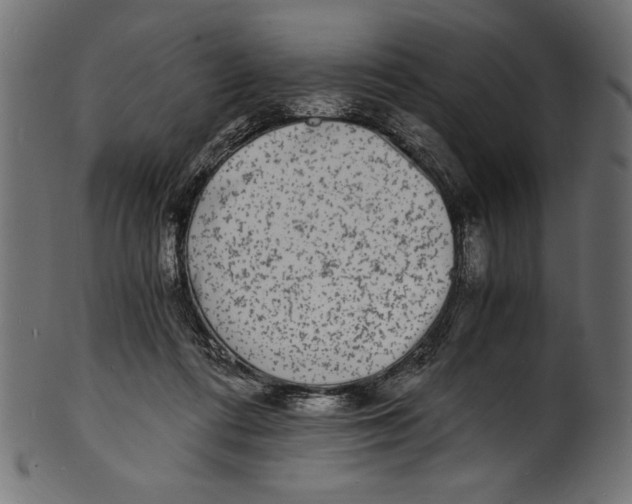 X0000100850312200807181102
