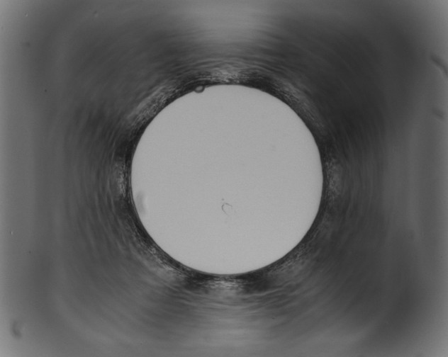 X0000100850313200807181102