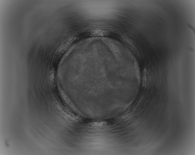 X0000100850314200807181102