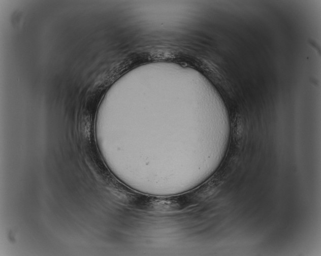 X0000100850315200807181102