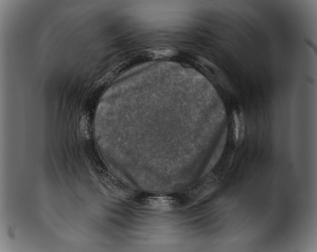 X0000100850316200807181102