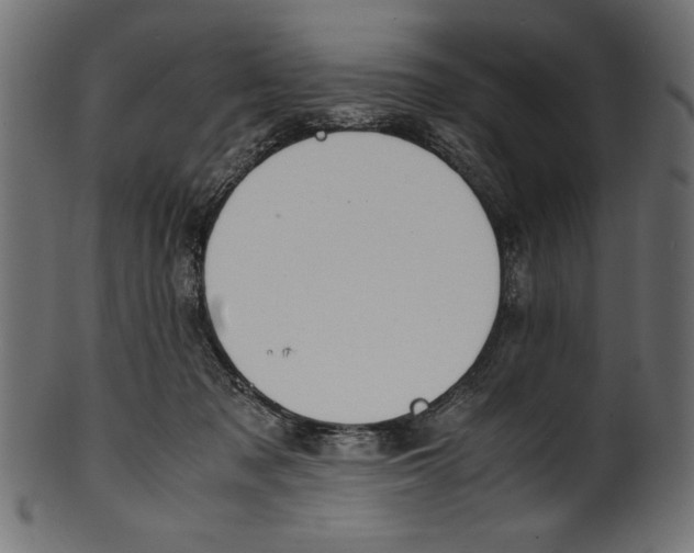 X0000100850317200807181102