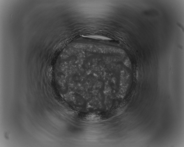 X0000100850319200807181102