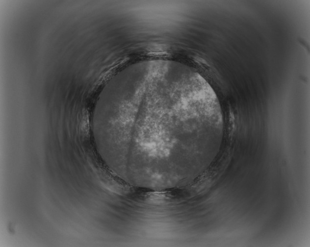 X0000100850320200807181102