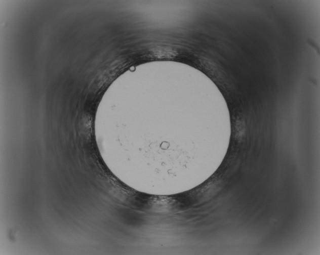 X0000100850321200807181102
