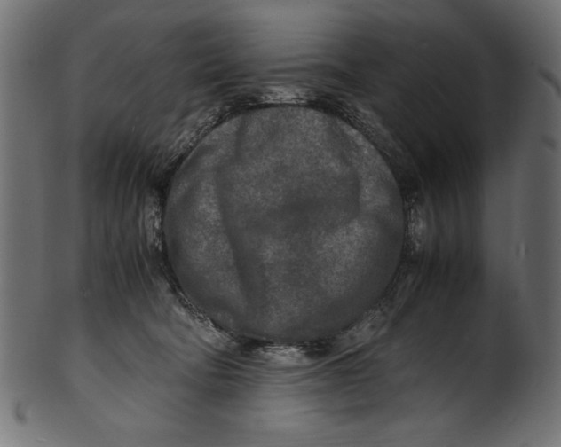 X0000100850322200807181102