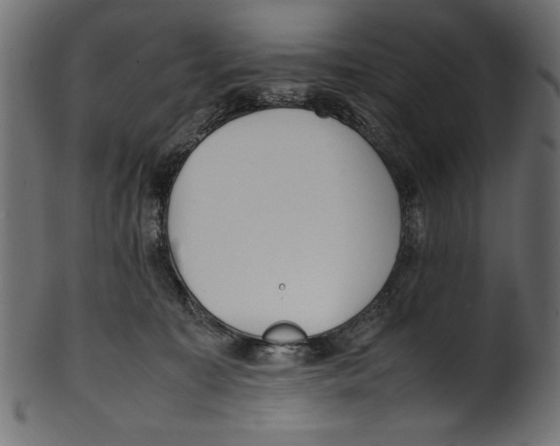 X0000100850323200807181102