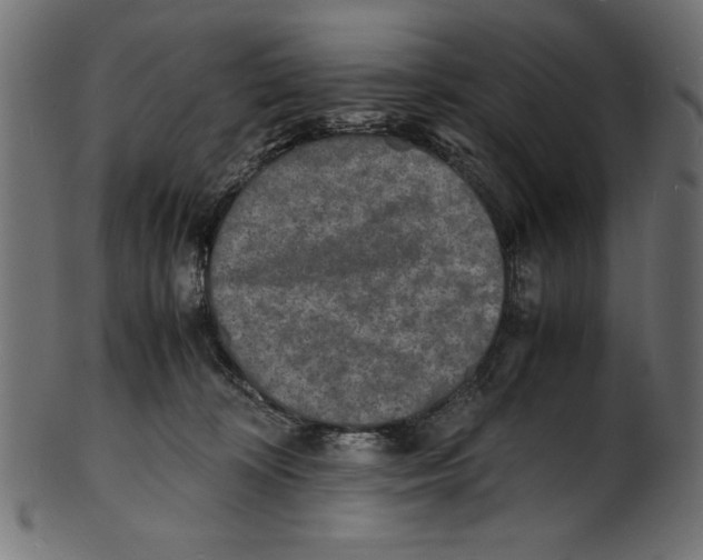 X0000100850324200807181102