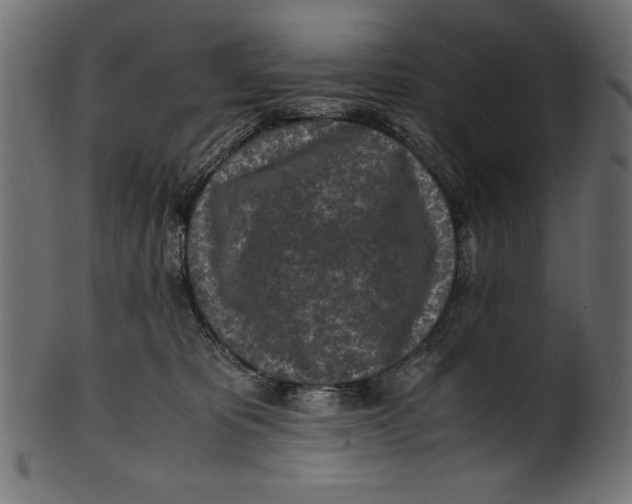 X0000100850325200807181102