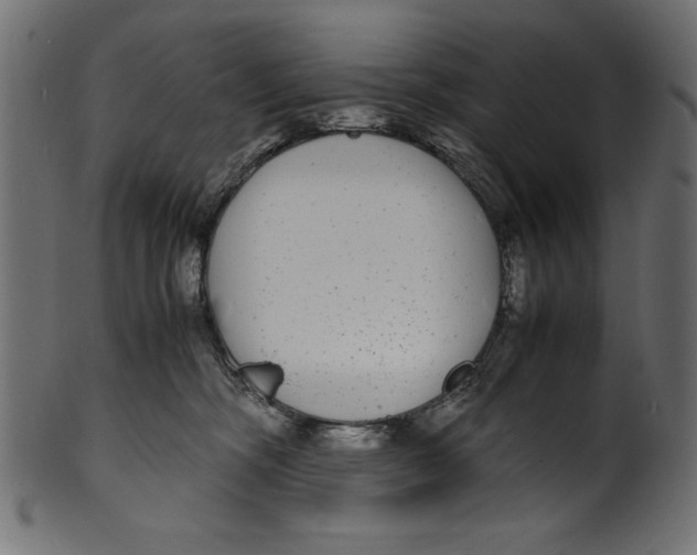 X0000100850326200807181102