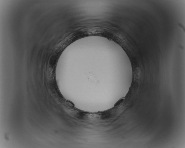 X0000100850327200807181102