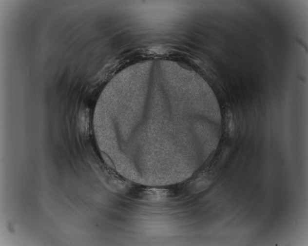 X0000100850328200807181102