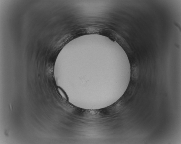 X0000100850329200807181102