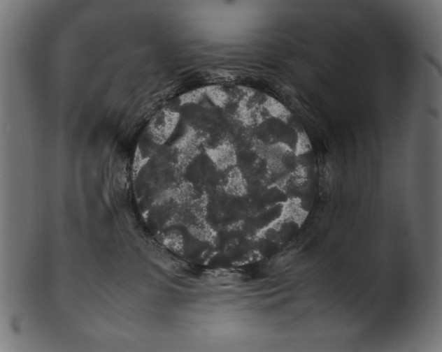 X0000100850331200807181102