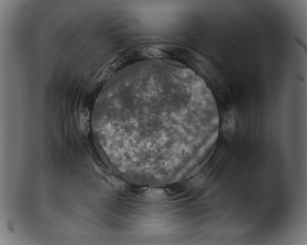 X0000100850332200807181102