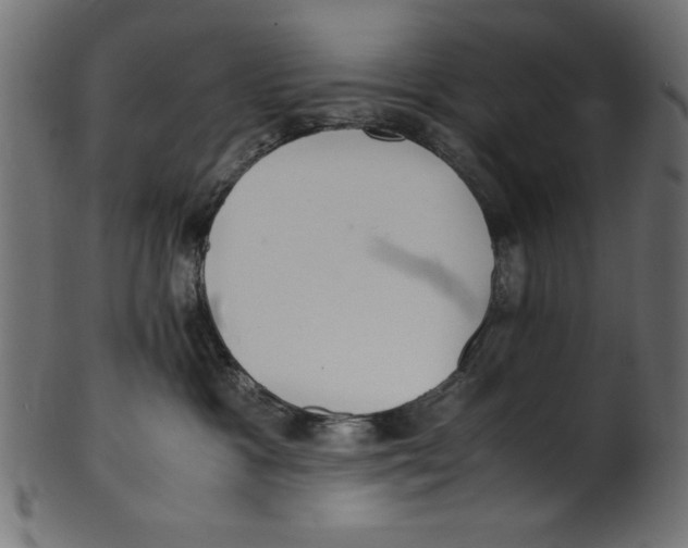 X0000100850333200807181102