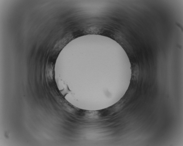 X0000100850334200807181102