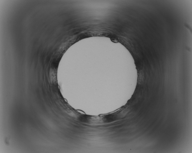 X0000100850335200807181102