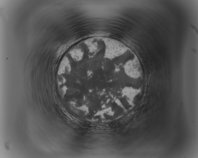 X0000100850337200807181101