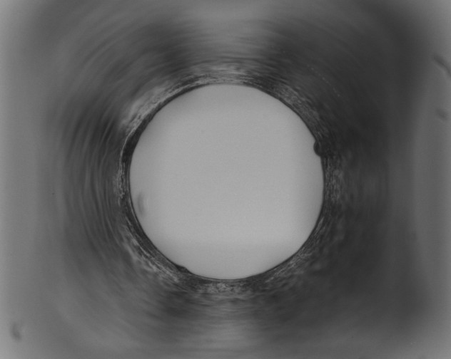 X0000100850338200807181101