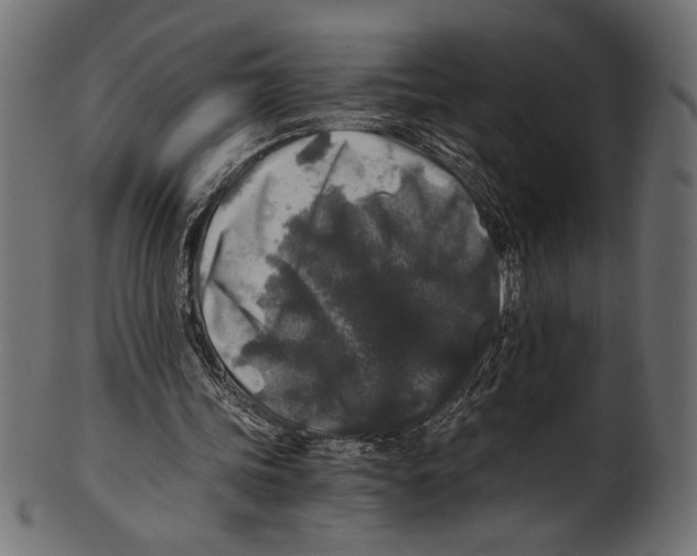 X0000100850339200807181101
