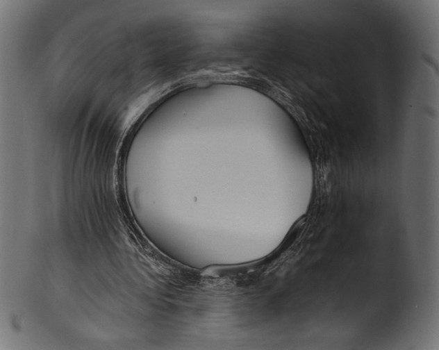 X0000100850340200807181101