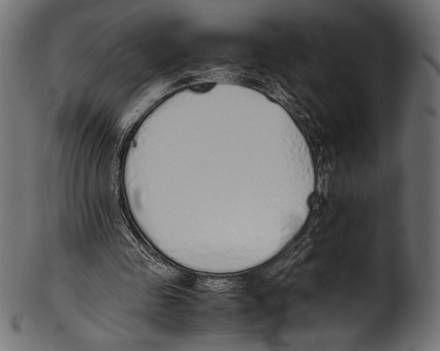 X0000100850341200807181101