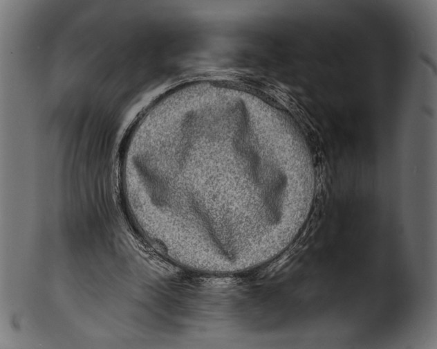 X0000100850342200807181101