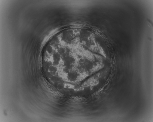 X0000100850343200807181101