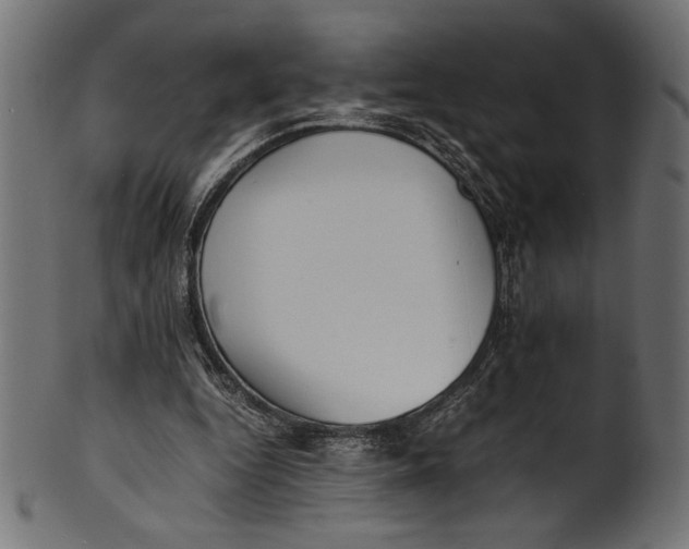 X0000100850344200807181101